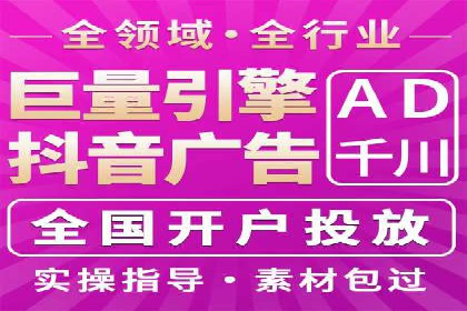 竞价广告的投放策略与效果评估——以一成功企业为例